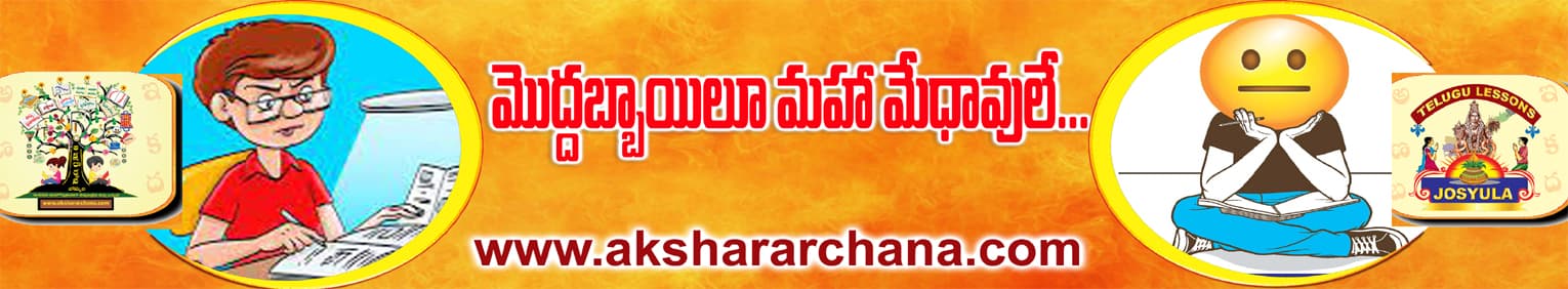 మొద్దబ్బాయిలూ మహా మేధావులే...